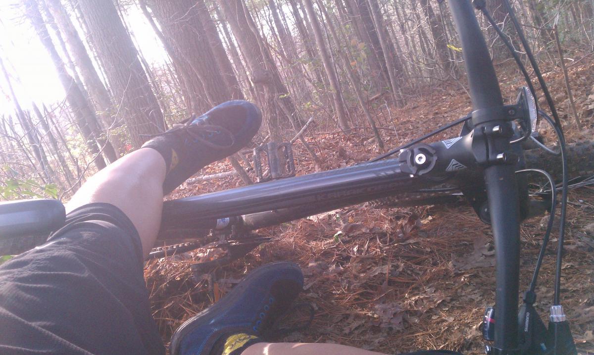 GT Karakoram: A close-up view of a person's leg and foot resting on the frame of a mountain bike, surrounded by pine trees and fallen leaves on the forest floor. The sun filters through the trees, creating a warm, natural light.
