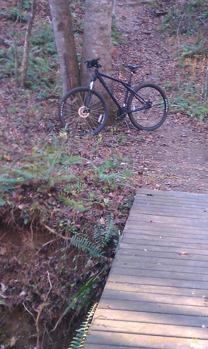 GT Karakoram: A black mountain bike resting against a tree on a wooded trail, with a wooden bridge crossing a small ditch in the foreground. Surrounding foliage includes green ferns and fallen leaves.