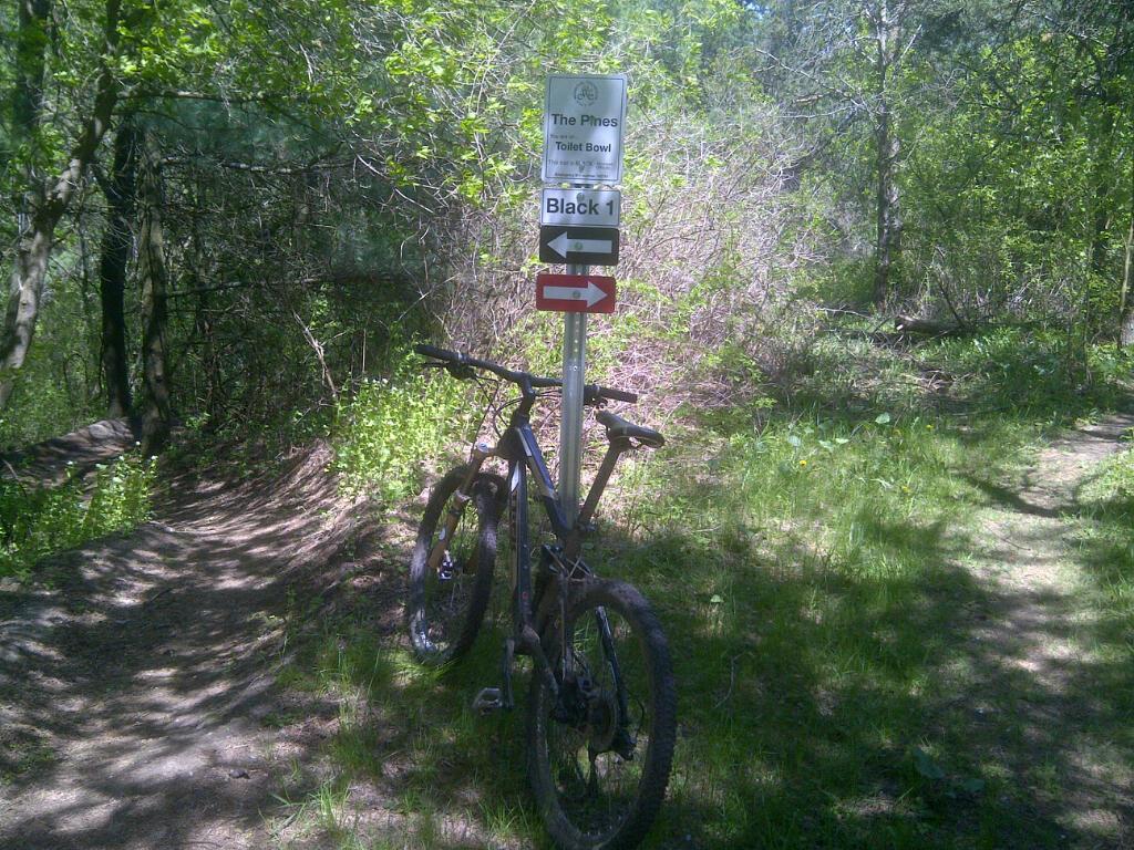 A mountain bike is leaning against a trail sign in a wooded area. The sign indicates directions for a trail called "The Pines" and points towards a trail labeled "Black 1." The surroundings are lush with green foliage and grass, with a dirt path visible on either side of the bike. The Pines mountain bike trail.