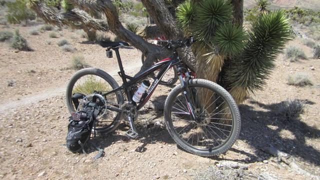 Specialized Myka Disc: Mountain bike leaning against a tree in a desert landscape with sparse vegetation and rocky soil. A backpack is attached to the bike, suggesting an outdoor adventure or rest stop.