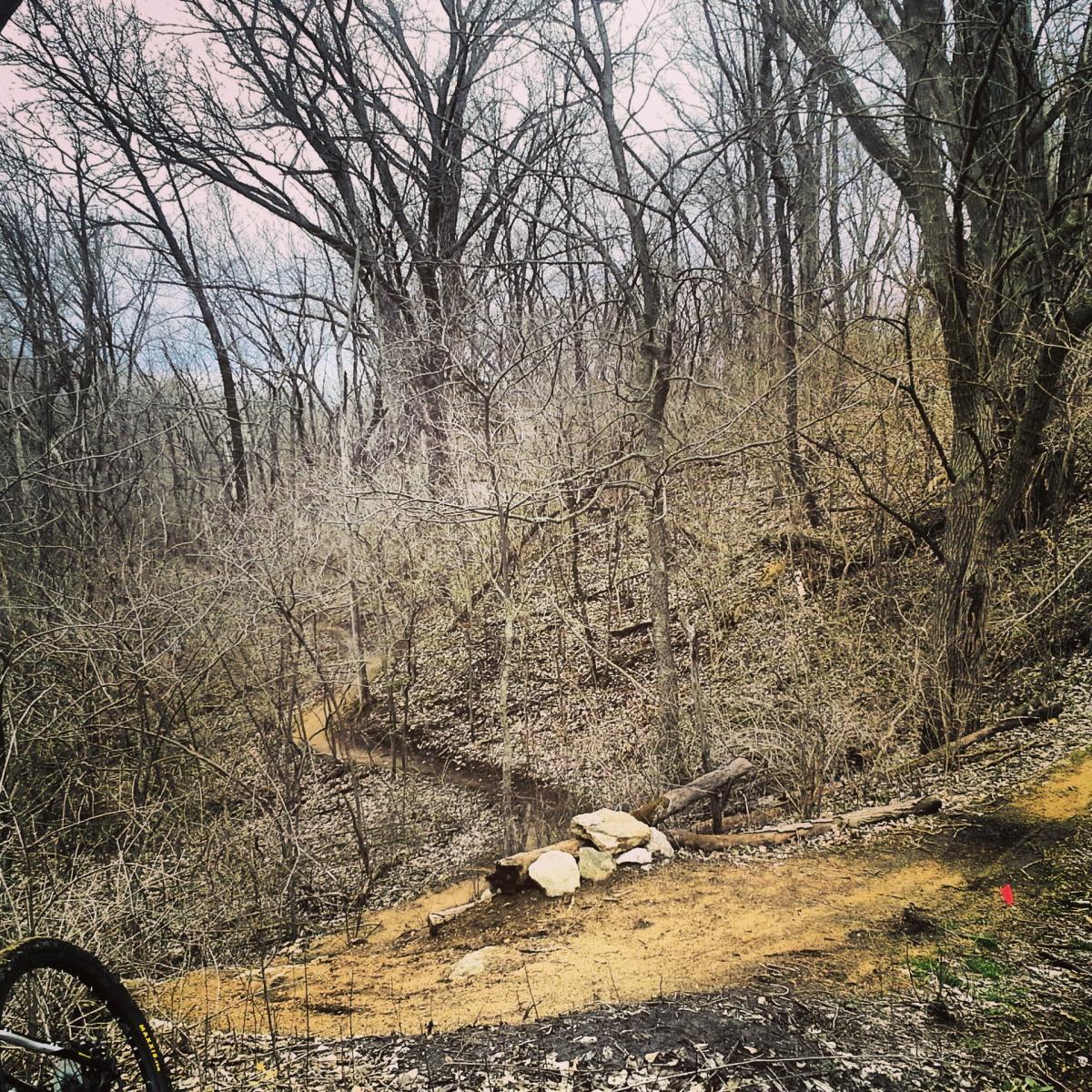 A winding dirt trail runs through a sparse, leafless forest in early spring. The forest floor is covered with dry leaves and small rocks, and a few large stones are positioned along the trail. In the foreground, a bicycle tire is partially visible, suggesting the area is suitable for biking. The trees are bare, with a mix of gray branches against a soft, cloudy sky. Banner Lakes At Summerset Park mountain bike trail.