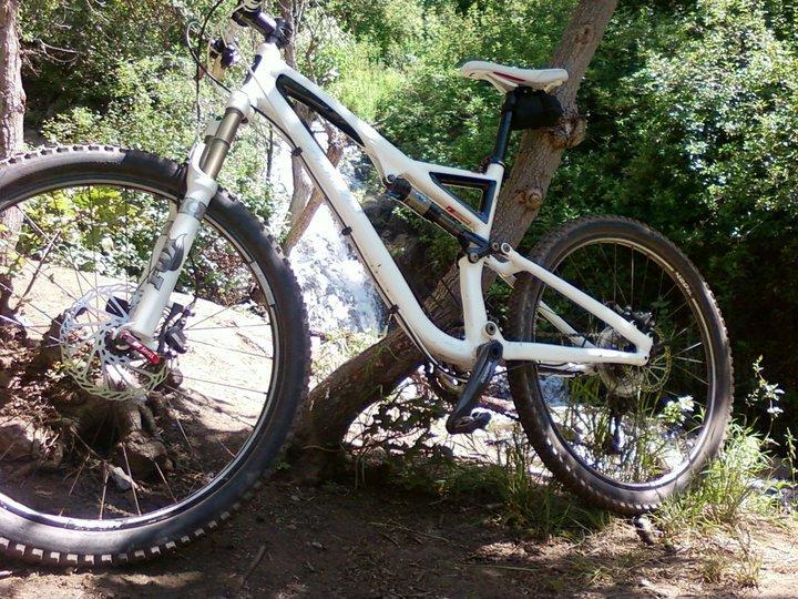 Specialized Stumpjumper FSR: A white mountain bike leaning against a tree in a green, forested area, with a small waterfall visible in the background. The bike features a dual suspension design and thick, knobby tires suited for off-road terrain. Wildflowers and shrubs can be seen surrounding the bike.
