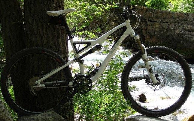 Specialized Stumpjumper FSR: A white mountain bike resting against a tree, with a flowing river and lush greenery in the background.