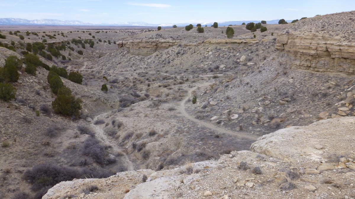 A wide view of a dry, rocky canyon landscape with winding paths, sparse vegetation, and distant mountains under a cloudy sky. South Shore Lake Pueblo mountain bike trail.