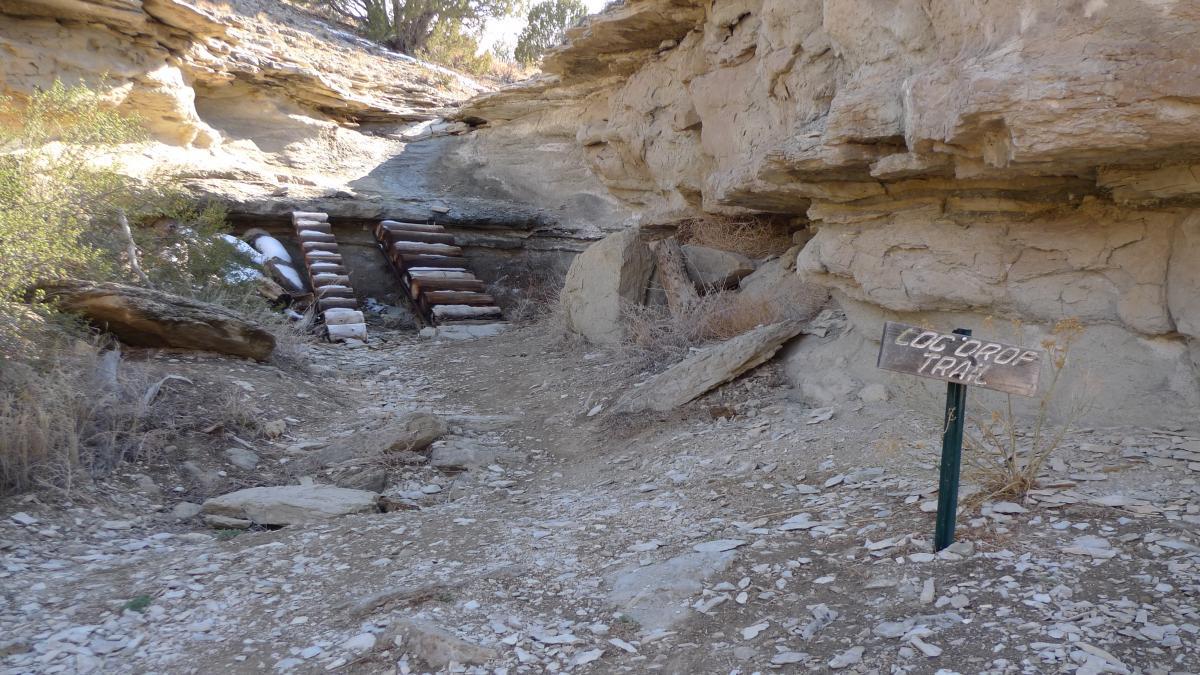 A rocky canyon path leading to a hillside with wooden steps partially obscured by vegetation, accompanied by a sign that reads "Coco Drop Trail." The landscape is dry and rugged, featuring various geological formations and sparse plant life. South Shore Lake Pueblo mountain bike trail.
