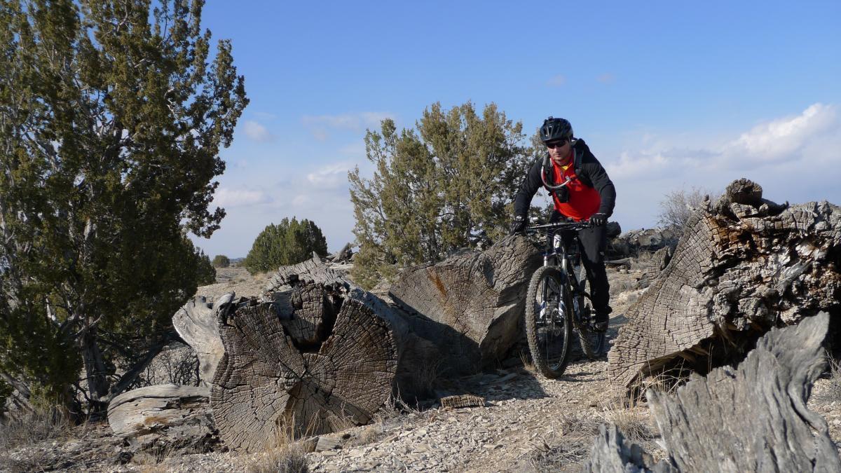 Mountain biker navigating rocky terrain with fallen tree trunks and shrubs in a sunny, outdoor setting. South Shore Lake Pueblo mountain bike trail.