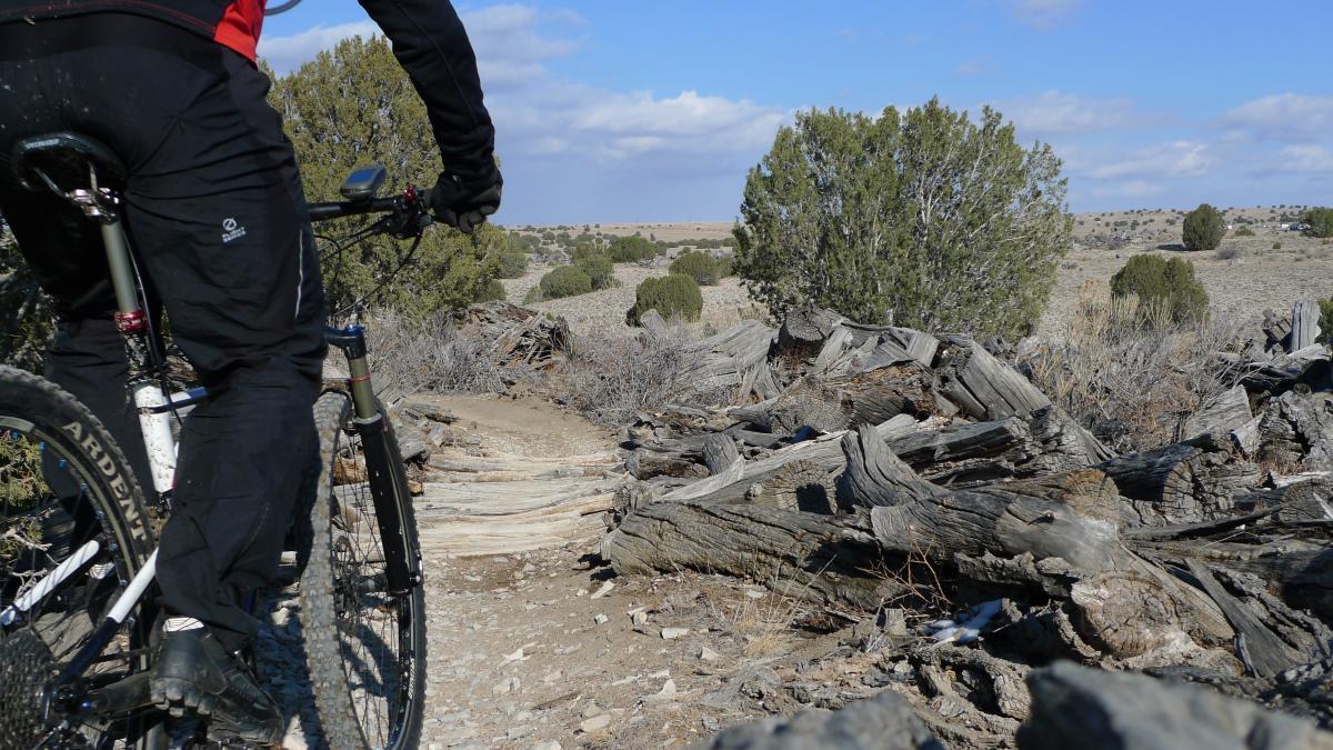 A cyclist riding a mountain bike along a rocky trail surrounded by sparse vegetation and fallen logs under a blue sky with clouds. South Shore Lake Pueblo mountain bike trail.
