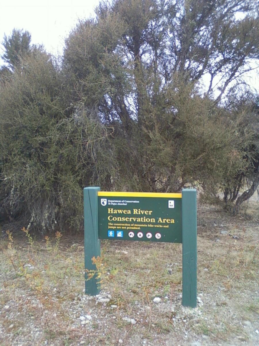 Sign for the Hawea River Conservation Area, surrounded by shrubs and trees, with information about conservation regulations. Hawea River Track mountain bike trail.