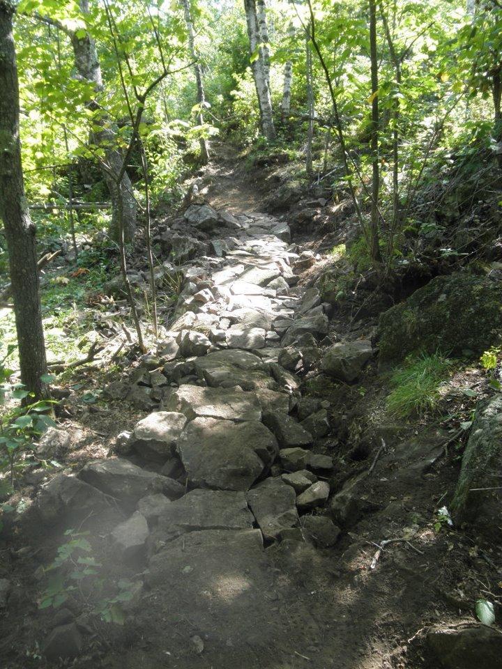 A rocky, uneven path meanders through a lush green forest, surrounded by trees and underbrush. Sunlight filters through the leaves, illuminating the trail made of large stones. Piedmont mountain bike trail.