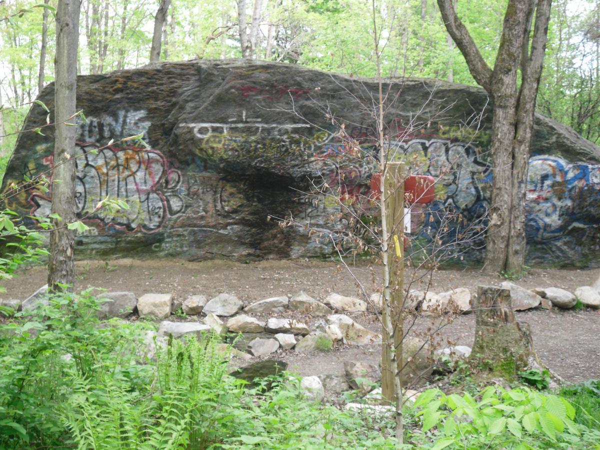 A large rock face covered in colorful graffiti, surrounded by green foliage and trees. In the foreground, a small area with scattered stones and a few sparse plants. The scene captures an urban art installation in a natural setting. Pine Hill Park mountain bike trail.