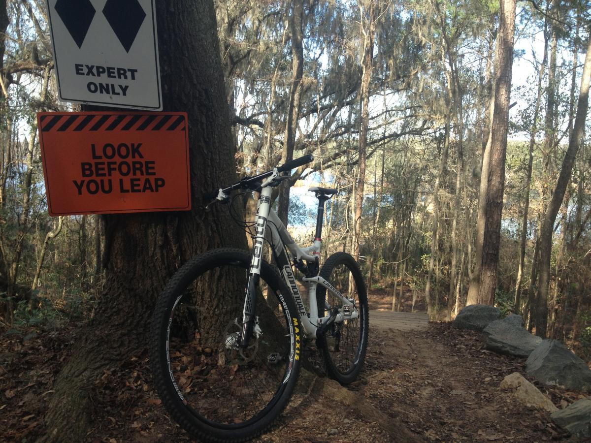 Cannondale Scalpel 29er 3: Mountain bike leaning against a tree along a wooded trail, with signs warning "Expert Only" and "Look Before You Leap" visible in the background. The scene shows a natural landscape with trees and a hint of water through the foliage.