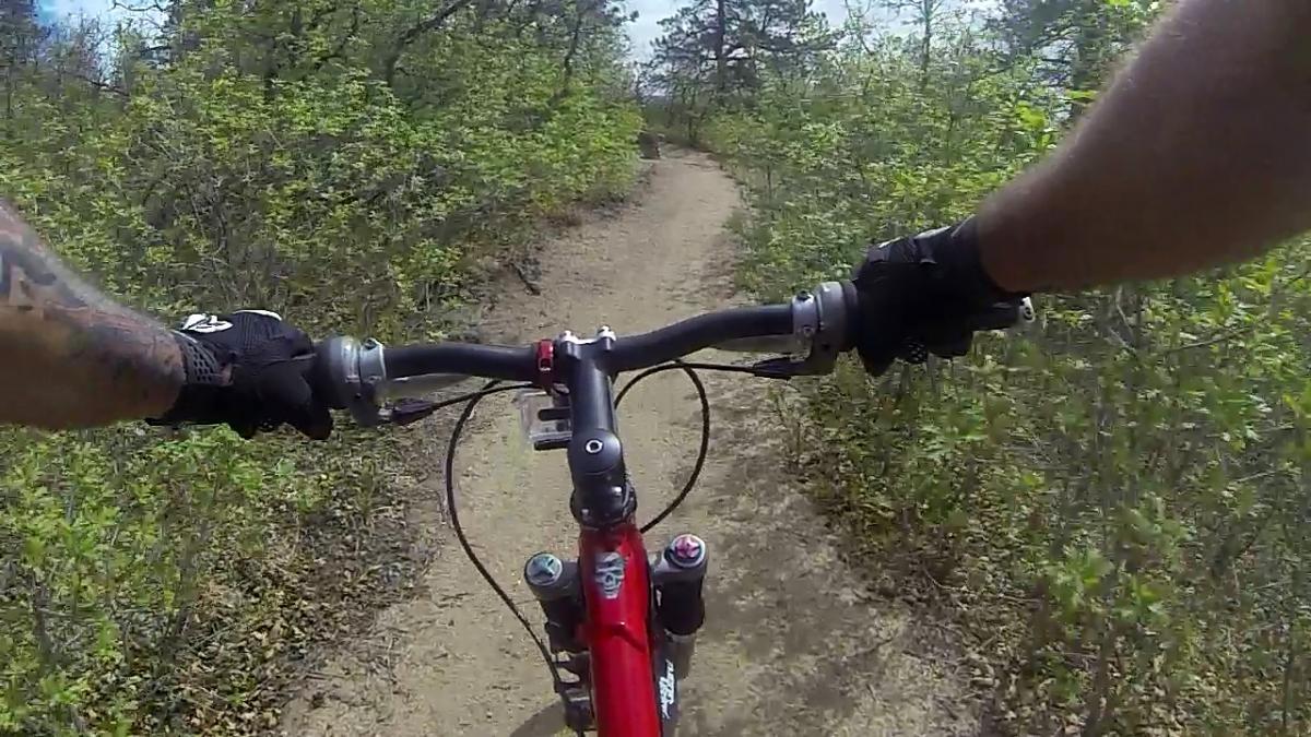 A close-up view of a mountain bike's handlebars as the rider navigates a dirt trail surrounded by greenery. The rider's arms are partially visible, wearing gloves, and the trail is lined with bushes and trees, suggesting an outdoor adventure in nature. Cheyenne Mountain State Park mountain bike trail.