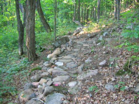 A winding stone path through a forest, surrounded by green trees and underbrush. The path is lined with various sizes of stones and is partially covered with fallen leaves. Britton Peak Trail System mountain bike trail.