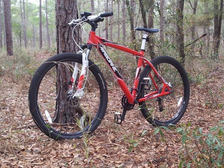 Airborne Guardian: A red and white mountain bike leaning against a tree in a wooded area, surrounded by brown leaves and green underbrush. The scene captures a tranquil moment in nature, highlighting the bike's frame and tires.