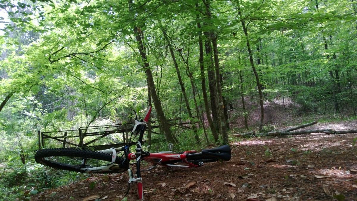 A mountain bike lies on the forest floor, surrounded by lush green foliage and trees. Sunlight filters through the leaves, creating a vibrant and natural setting. A wooden fence is visible in the background, leading into a wooded area. Wild Azalea Trail mountain bike trail.