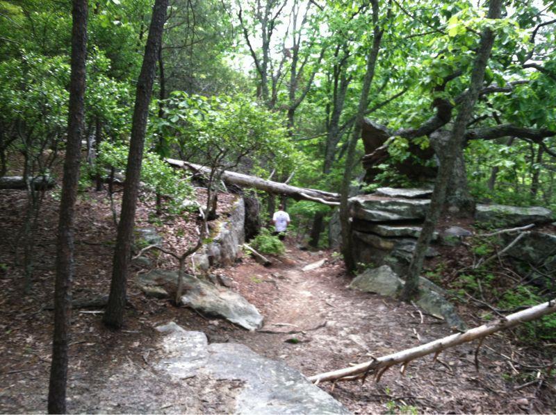 A narrow hiking path winding through a dense forest, featuring rocks and fallen tree branches. A person in a white shirt is walking along the trail, surrounded by lush green foliage and trees. Raccoon Mountain Trail Network mountain bike trail.