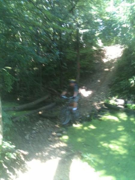 A blurry image of a person riding a bicycle on a narrow, wooded path with greenery and logs scattered on the ground. Sunlight filters through the trees, illuminating the trail leading to an incline. Saw Wee Kee Park mountain bike trail.