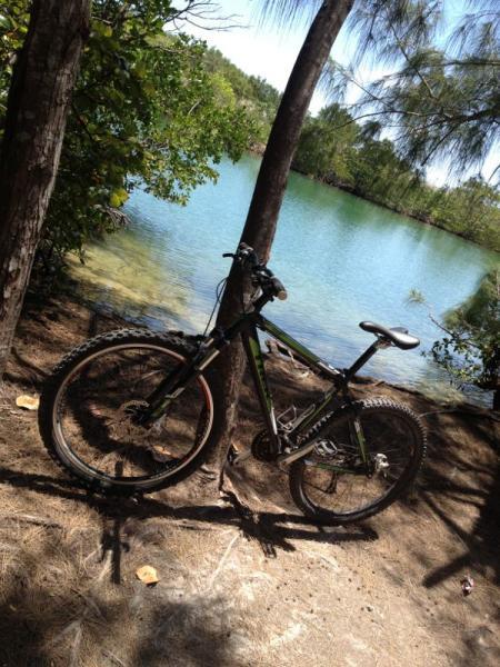 Mountain bike leaning against a tree near a calm body of water surrounded by lush greenery. Oleta River State Park mountain bike trail.