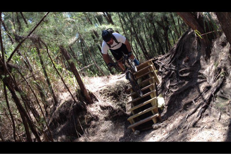 A mountain biker navigating a wooden ramp on a forest trail, surrounded by tall trees and natural vegetation. The rider is focused and leaning forward, with a helmet and appropriate biking gear, as they tackle the challenging terrain. Oleta River State Park mountain bike trail.