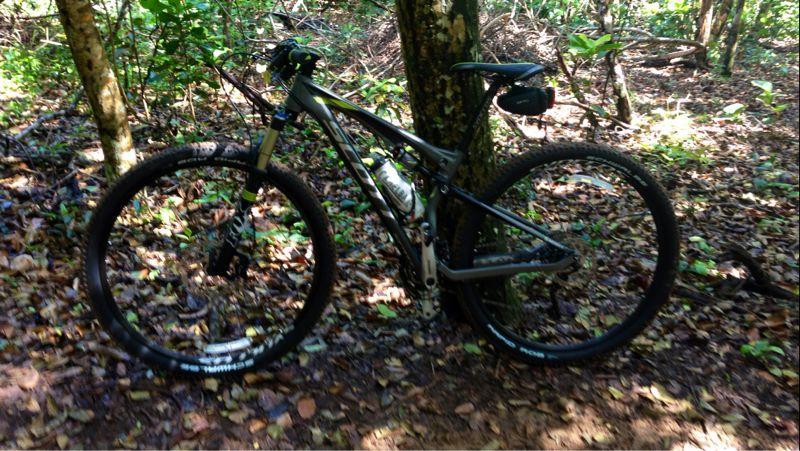 Mountain bike leaned against a tree in a forested area, surrounded by fallen leaves and greenery. Cerro Gordo Trail mountain bike trail.