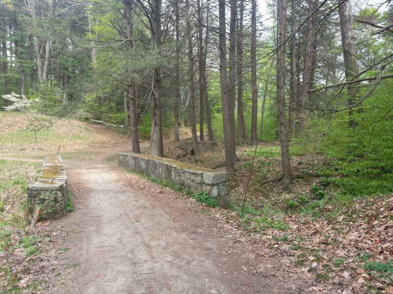 A serene forest path leading to a stone bridge, surrounded by tall trees and fresh green foliage, with the soft earth covered in fallen leaves. Maudslay State Park mountain bike trail.