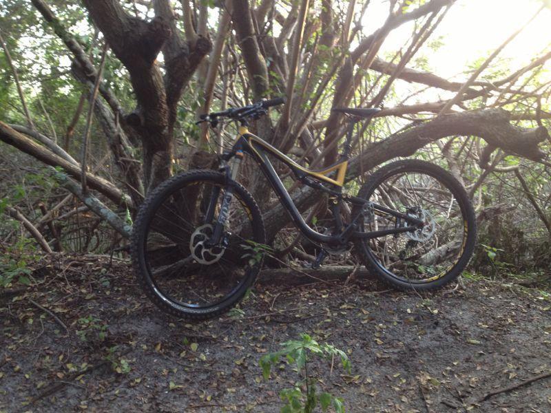 A mountain bike resting against a tangle of branches in a wooded area, surrounded by green foliage and earthy ground. West Delray Regional Park mountain bike trail.