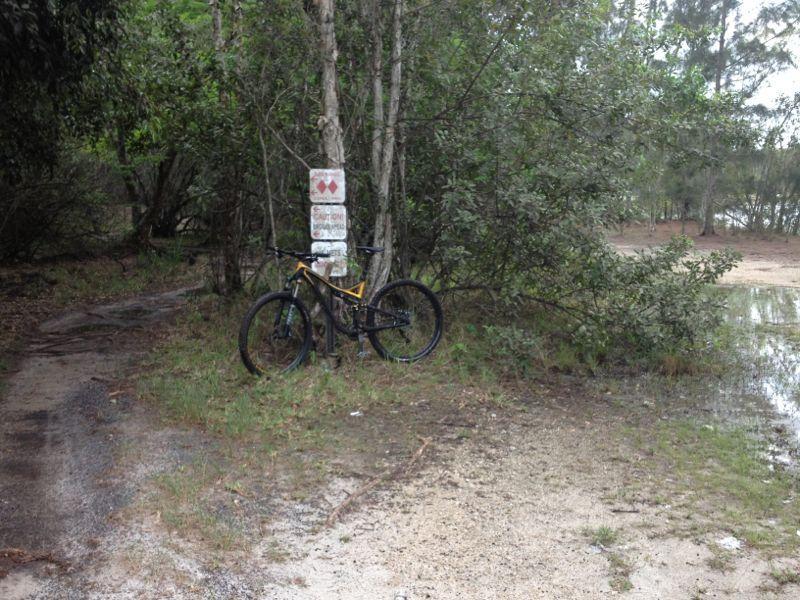 A mountain bike leaning against a tree in a wooded area, next to a weathered sign. The ground is a mix of dirt and grass, with some standing water visible nearby. The surroundings are lush with greenery, indicating a natural outdoor setting. Markham Park mountain bike trail.