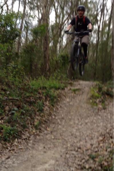 A mountain biker jumping over a small dirt ramp on a forest trail, surrounded by trees and greenery. Comite Trails mountain bike trail.