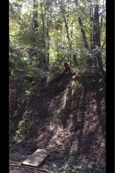A mountain biker wearing a helmet and yellow jersey is descending a steep dirt trail in a wooded area, with sunlight filtering through the trees. A small wooden ramp is visible at the bottom of the slope. Comite Trails mountain bike trail.