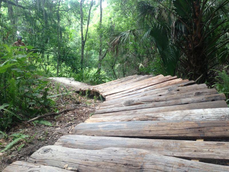 A winding wooden path through a lush, green forest, surrounded by various plants and trees. The path is made of rough wooden planks and leads into the greenery, creating a natural and tranquil setting. Alafia River State Park mountain bike trail.