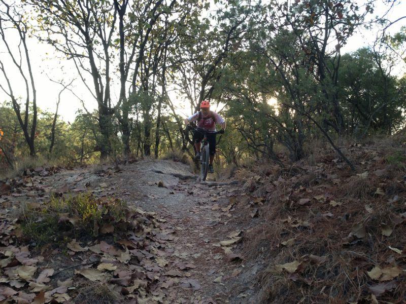 A person riding a mountain bike along a narrow dirt trail surrounded by trees and fallen leaves, with the sun setting in the background. La mosca, toboganes, garrison and many more mountain bike trail.