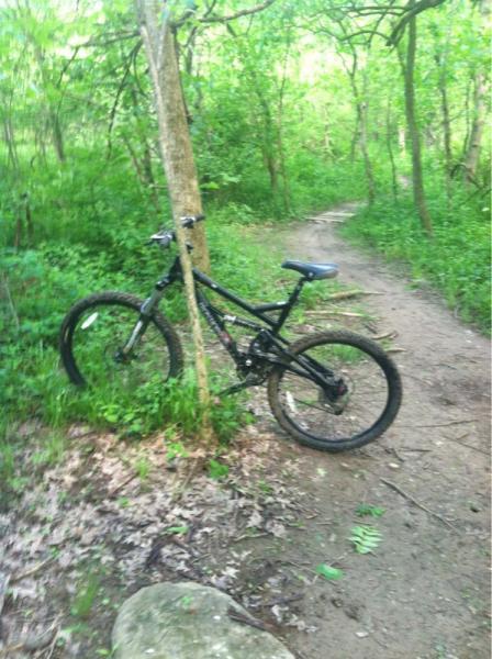 A black mountain bike leaning against a tree on a dirt path surrounded by lush green foliage in a forested area. Alum Creek Phase II mountain bike trail.