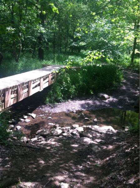 A wooden bridge spans a shallow stream in a lush green forest. Sunlight filters through the leaves of trees, casting dappled shadows on the ground. The area around the stream features small rocks and vibrant vegetation, creating a serene natural setting. Alum Creek Phase II mountain bike trail.