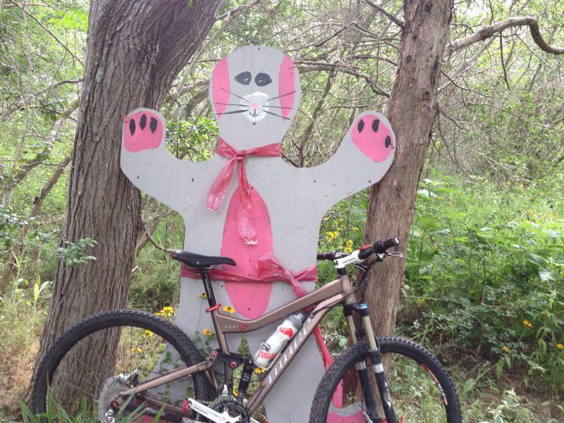 A whimsical pink and gray cat-shaped sign with outstretched arms stands next to a mountain bike, surrounded by trees and greenery in a wooded area. The sign features a smiling face and a pink scarf, adding a playful touch to the natural setting. Rocky Hill Ranch mountain bike trail.
