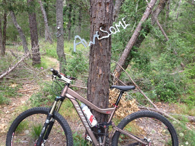 A mountain bike parked next to a tree in a forested area, with the word "Awesome" creatively written on the tree trunk. The surrounding environment features dense greenery and fallen branches. Rocky Hill Ranch mountain bike trail.