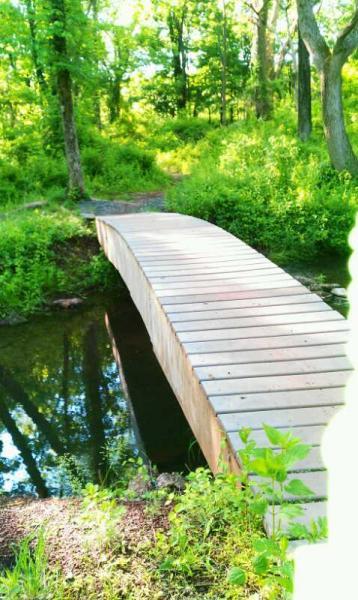 A curved wooden bridge spans a calm stream, surrounded by lush greenery and trees in a vibrant forest setting. Six Mile Run mountain bike trail.