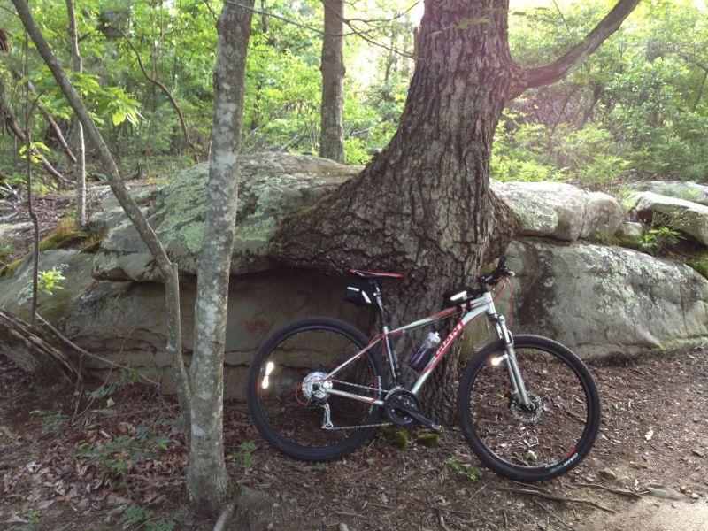 A silver mountain bike leaning against a large tree with a thick trunk, nestled against a rocky outcrop in a wooded area. The bike features black tires and red accents, surrounded by greenery and natural terrain. Raccoon Mountain Trail Network mountain bike trail.