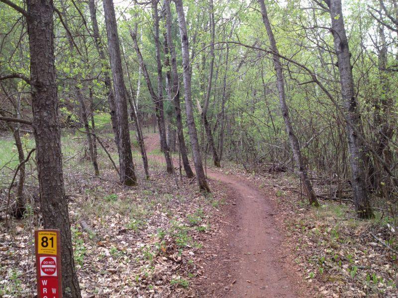 A winding dirt trail surrounded by green trees and foliage, with a trail marker labeled "81" visible on the left side. The path gently curves into the distance, indicating a peaceful natural setting. Cuyuna Lakes mountain bike trail.