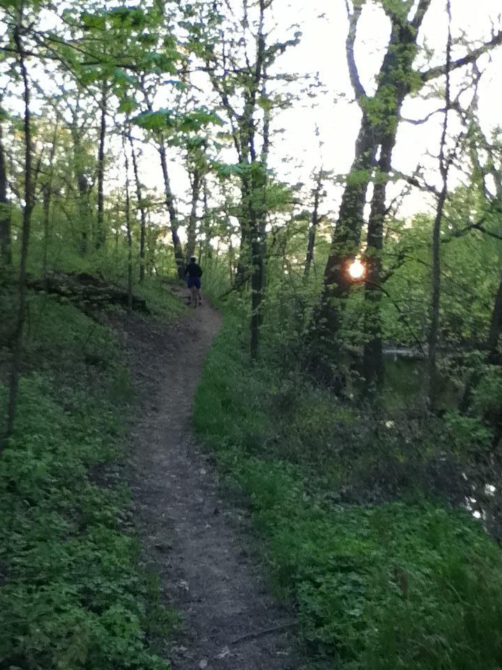 A narrow, winding dirt path through a lush green forest during sunrise, with sunlight filtering through the trees. A person is walking up the trail in the distance, surrounded by vibrant foliage and a serene atmosphere. Indian Road Woods mountain bike trail.