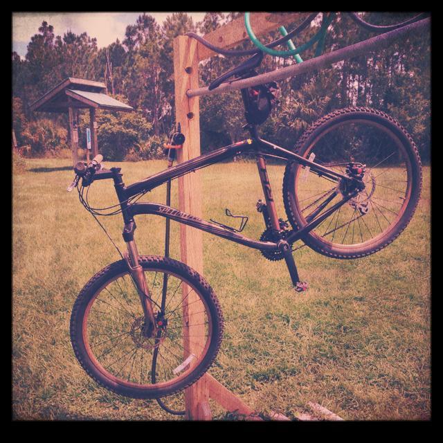 Specialized Rockhopper: A black mountain bike is hanging from a wooden rack in a grassy outdoor area, with trees in the background. The bike is displayed upside down, showcasing its frame and tires.