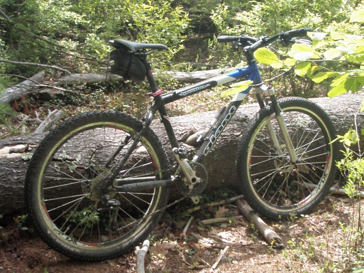 Giant Iguana: A mountain bike resting on a fallen log in a wooded area, surrounded by greenery. The bike features rugged tires and a black and blue frame, with a small black bag attached to the seat. Sunlight filters through the trees, highlighting the natural setting.