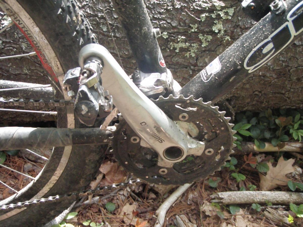 Giant Iguana: Close-up of a mountain bike crankset and chainring, showing dirt and wear from use. The pedal assembly is partially visible, with a focus on the metallic components against a natural background of tree bark and foliage.
