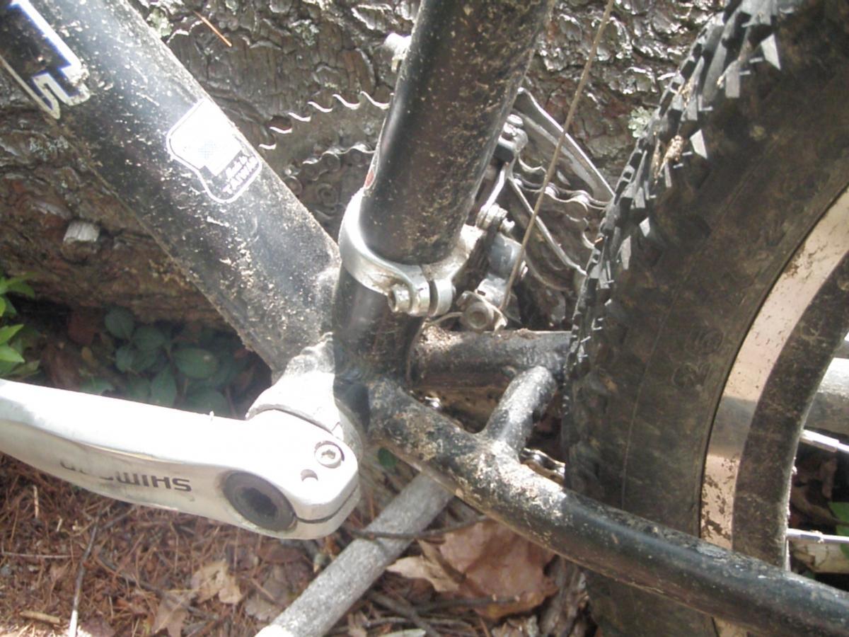 Giant Iguana: Close-up view of a mountain bike's drivetrain and frame, featuring a dirty black frame, cranks, and a gear cassette. The image captures the bicycle resting against a tree with pine needles and leaves visible on the ground.