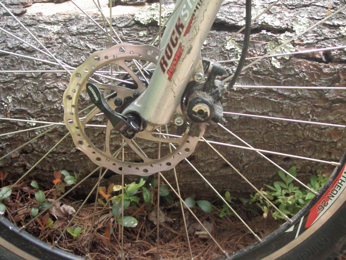 Giant Iguana: Close-up view of a mountain bike's rear wheel, featuring a disc brake, spokes, and part of the tire. The background includes a textured log and some green foliage, indicating a natural setting.