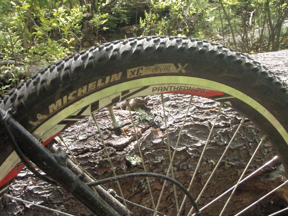 Giant Iguana: Close-up of a mountain bike tire showcasing the tread pattern and branding. The tire is a Michelin XC Dry 26" mounted on a bike, with a focus on the details of the tire and the surrounding natural environment, including a tree trunk in the background.