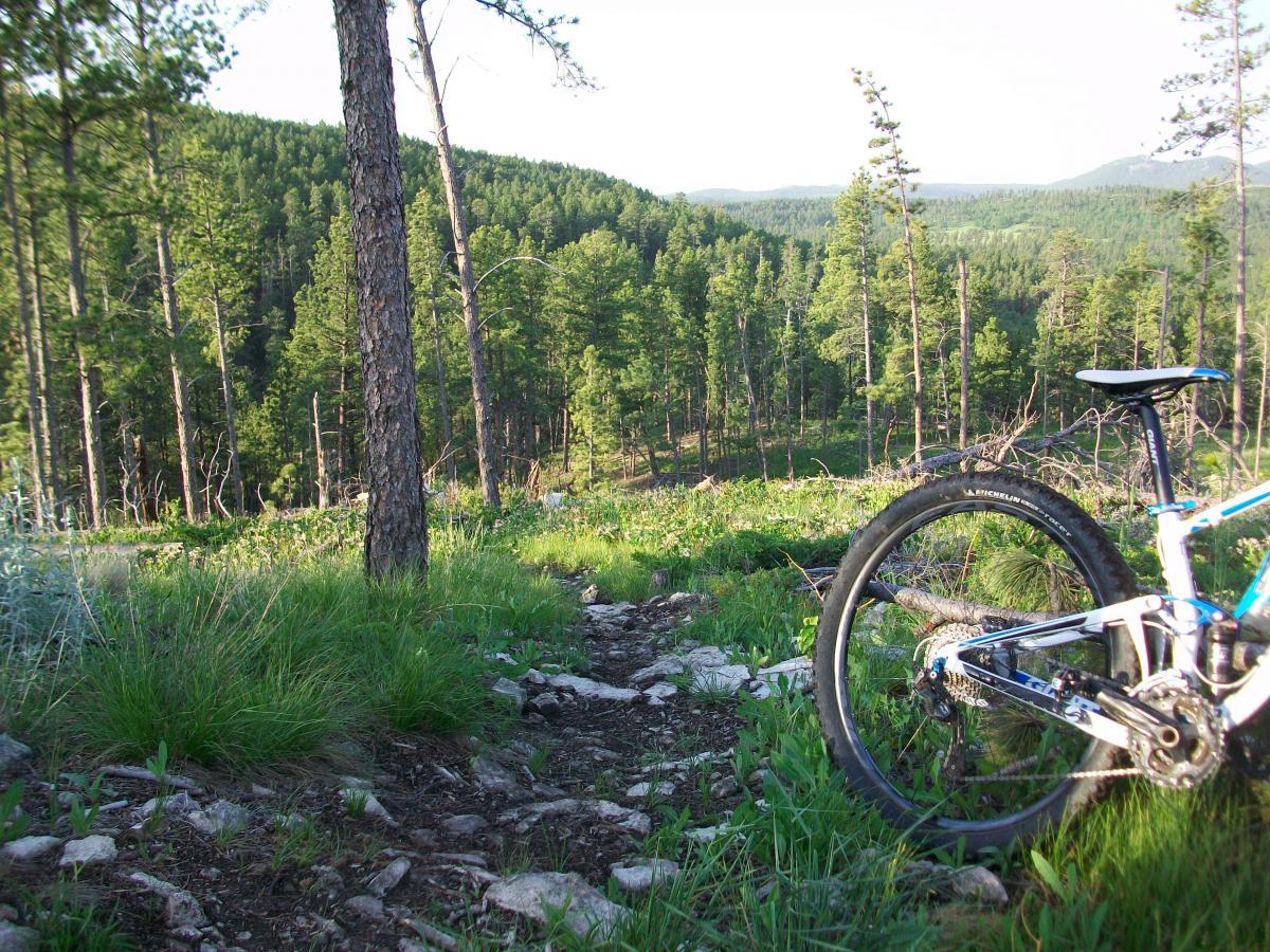 A mountain bike resting on a rocky trail, surrounded by lush green grass and tall pine trees, with a scenic view of rolling hills and mountains in the background. Victoria's Secret mountain bike trail.