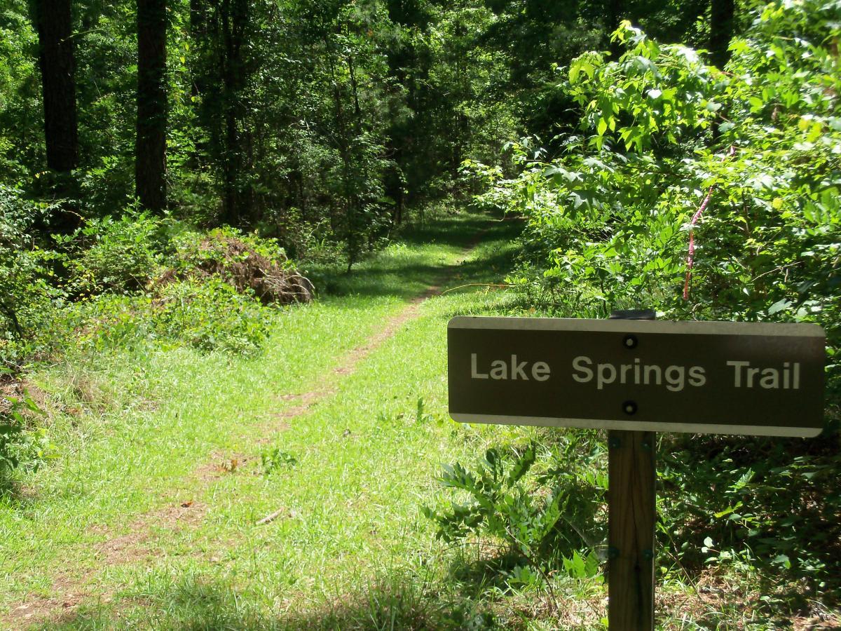 A grassy trail winding through a lush, green forest, with a brown sign labeled "Lake Springs Trail" positioned in the foreground. The path appears inviting, surrounded by dense foliage and trees. Bartram Trail / West Dam / Wildwood Park mountain bike trail.
