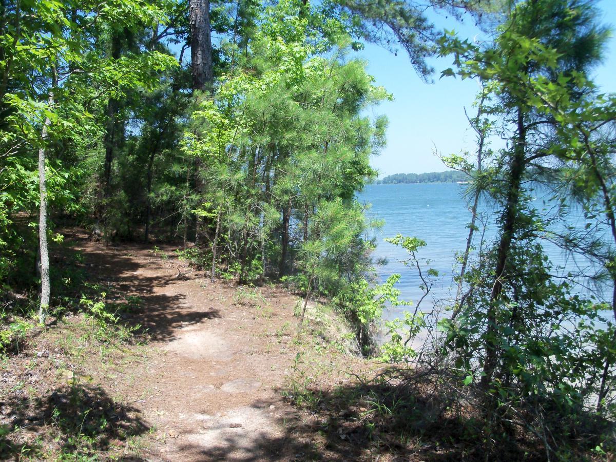 A serene view of a dirt path leading through lush green trees, beside a calm body of water on a sunny day. The scene captures the natural beauty of the area, with a mixture of shrubs and tall pine trees lining the path, inviting exploration and tranquility. Bartram Trail / West Dam / Wildwood Park mountain bike trail.