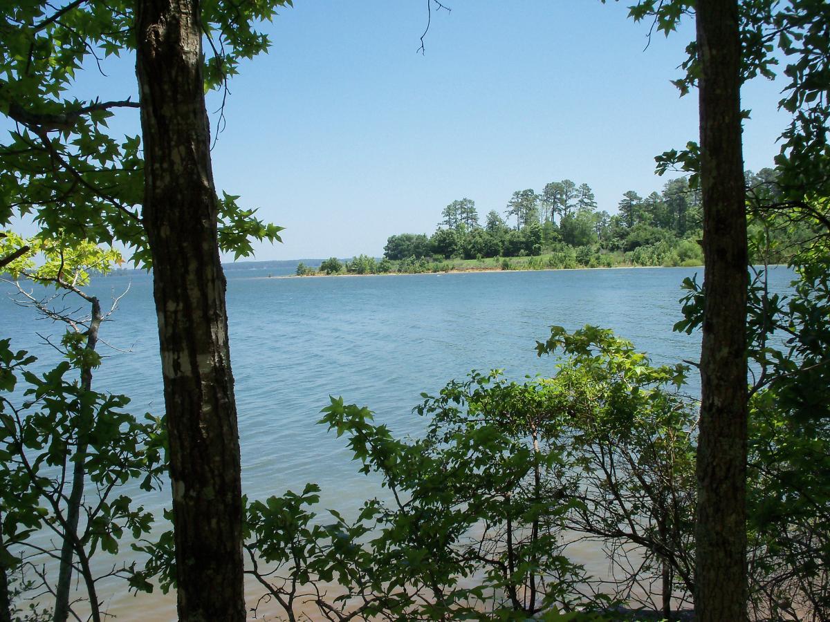A tranquil view of a calm lake framed by trees and greenery, with a distant shoreline visible under a clear blue sky. Bartram Trail / West Dam / Wildwood Park mountain bike trail.