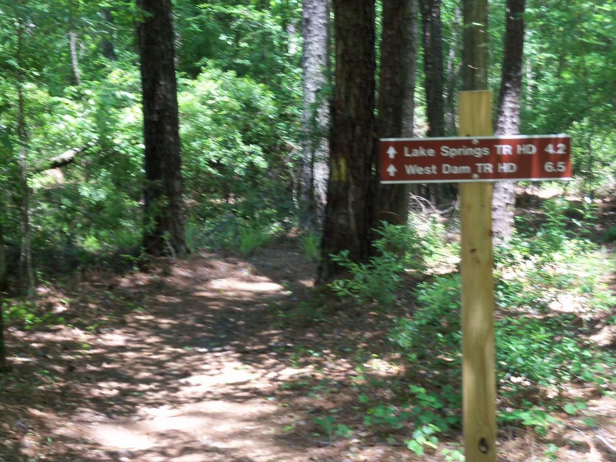 A wooden trail sign in a forest, indicating directions to "Lake Springs TR HD" at 4.2 miles and "West Dam TR HD" at 6.5 miles, with a natural path visible in the foreground and green foliage surrounding the area. Bartram Trail / West Dam / Wildwood Park mountain bike trail.